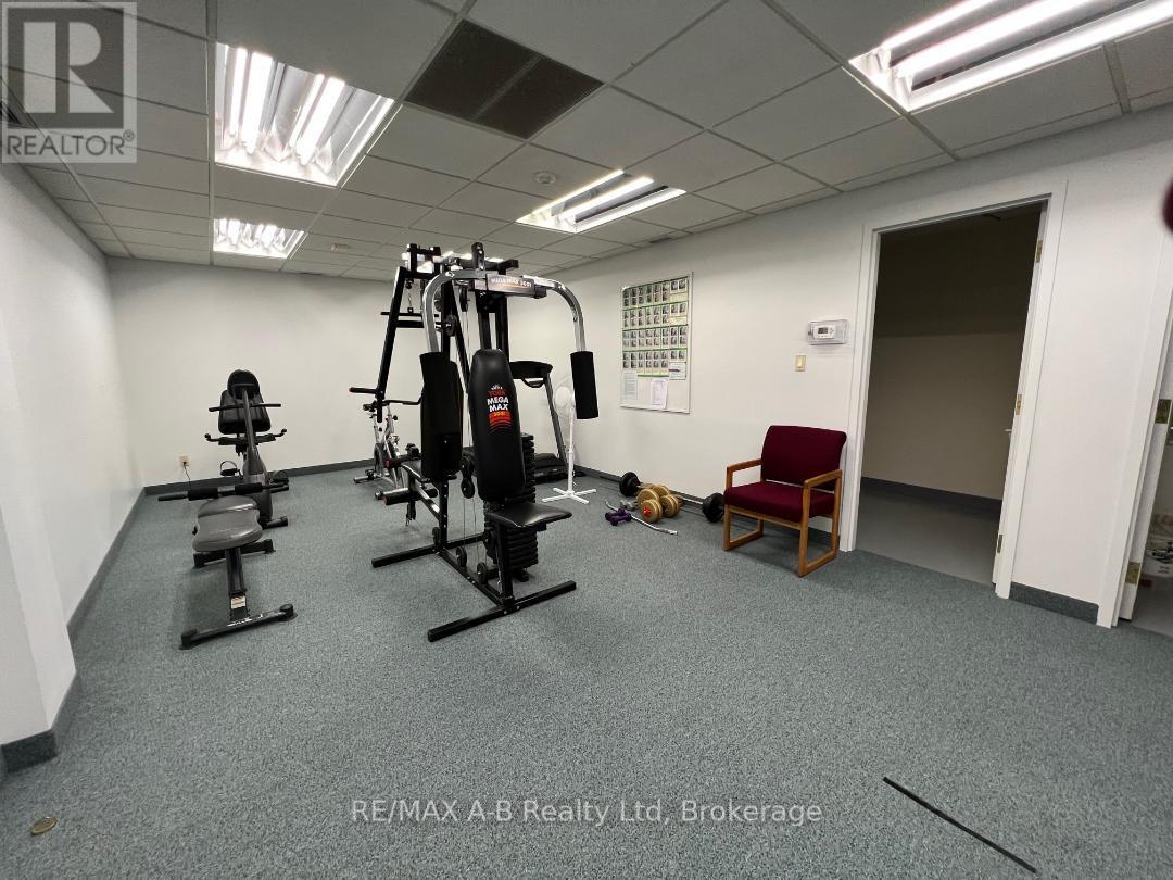 112 - 199 Hope Street E, East Zorra-Tavistock, Ontario  N0B 2R0 - Photo 42 - X12154485