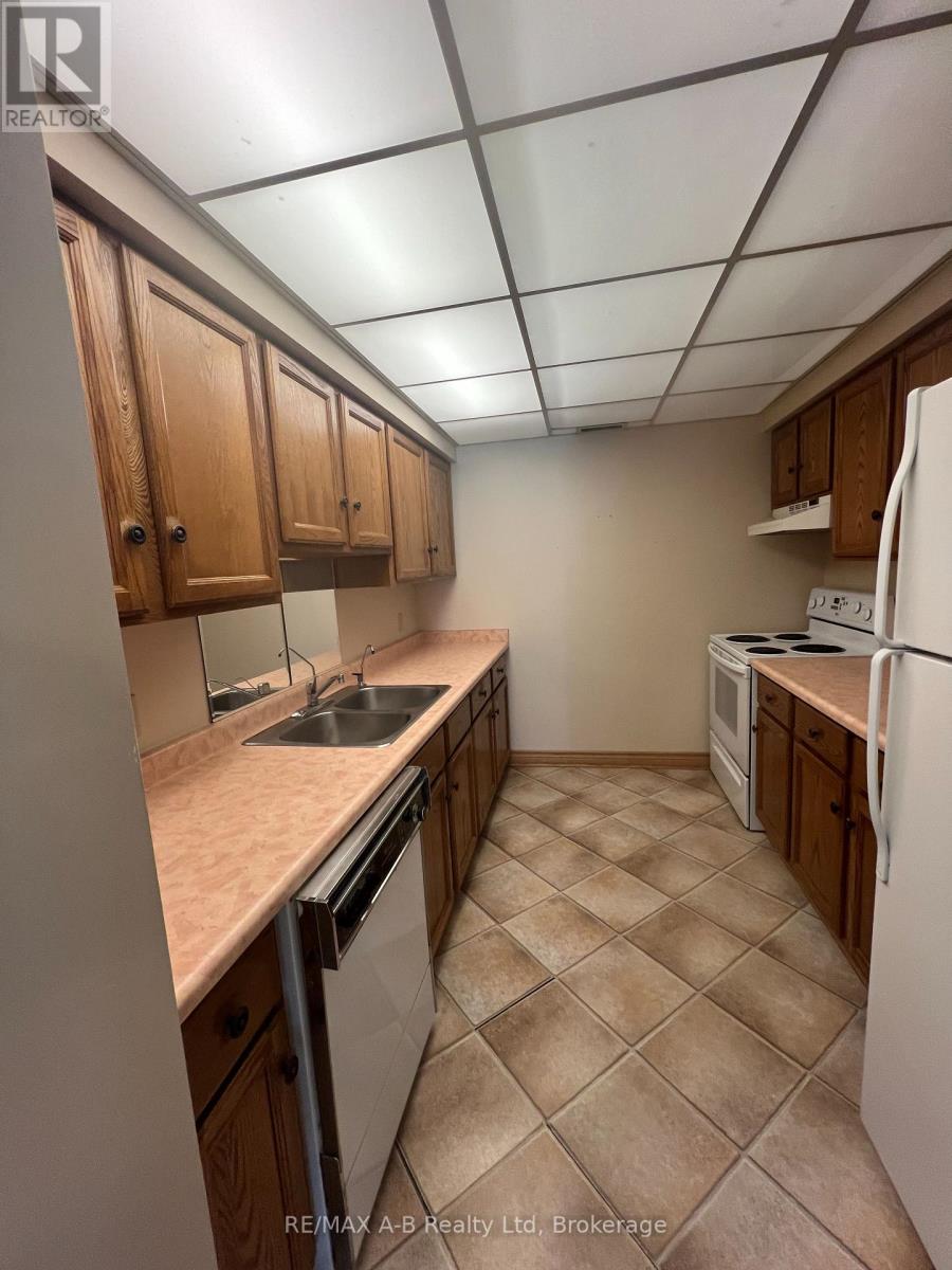 112 - 199 Hope Street E, East Zorra-Tavistock, Ontario  N0B 2R0 - Photo 8 - X12154485