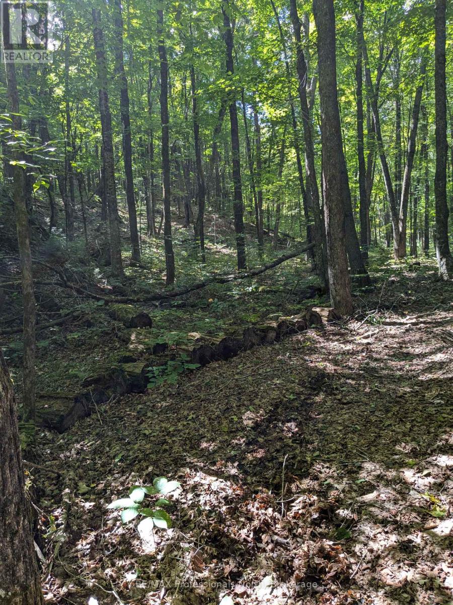 0 Burnt River Wao, Minden Hills, Ontario  K0M 2A1 - Photo 3 - X12154596