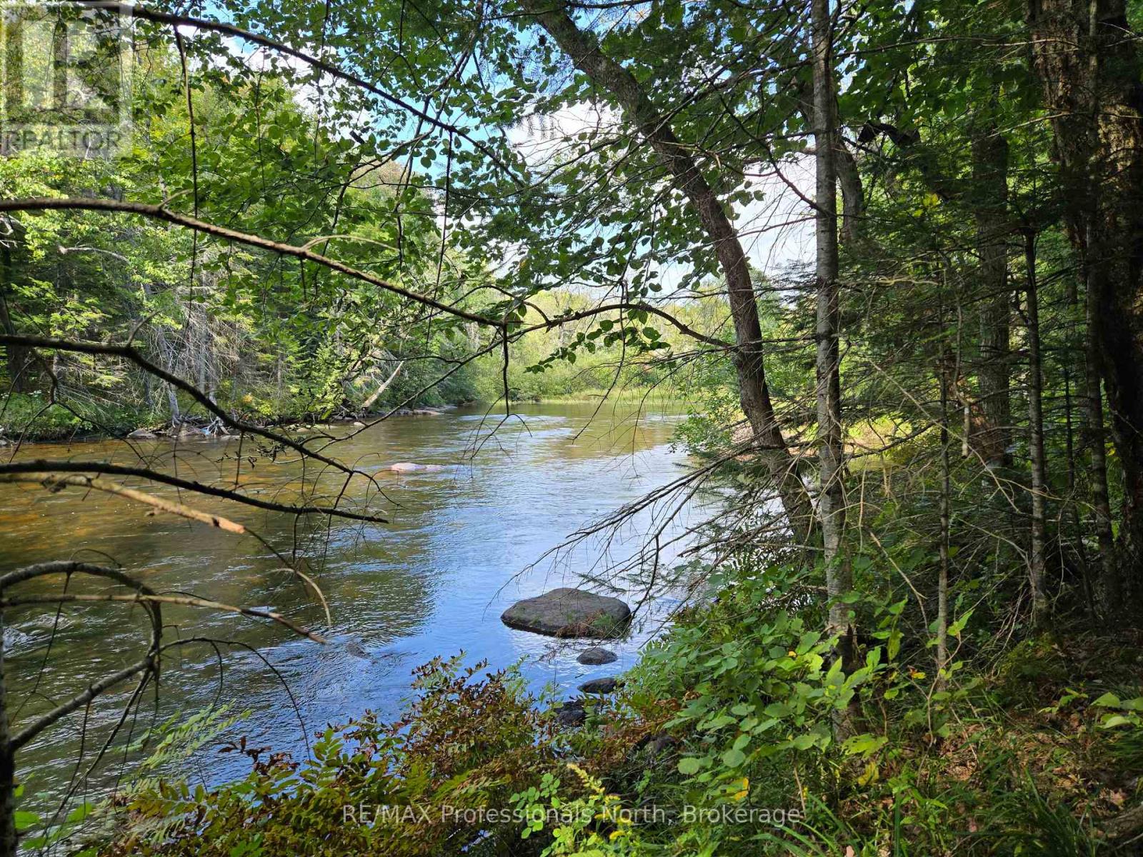0 Burnt River Wao, Minden Hills, Ontario  K0M 2A1 - Photo 5 - X12154596