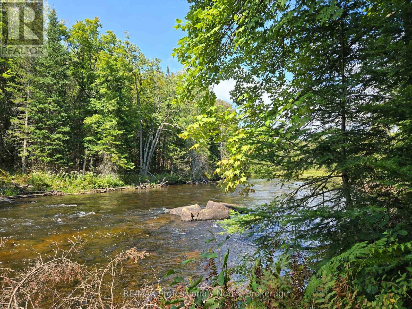 0 Burnt River Wao, Minden Hills, Ontario  K0M 2A1 - Photo 6 - X12154596