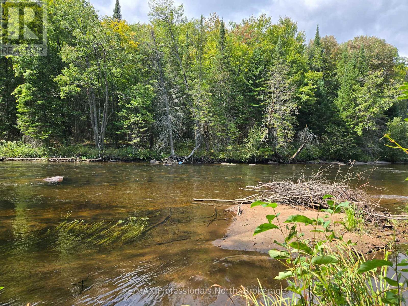 0 Burnt River Wao, Minden Hills, Ontario  K0M 2A1 - Photo 7 - X12154596