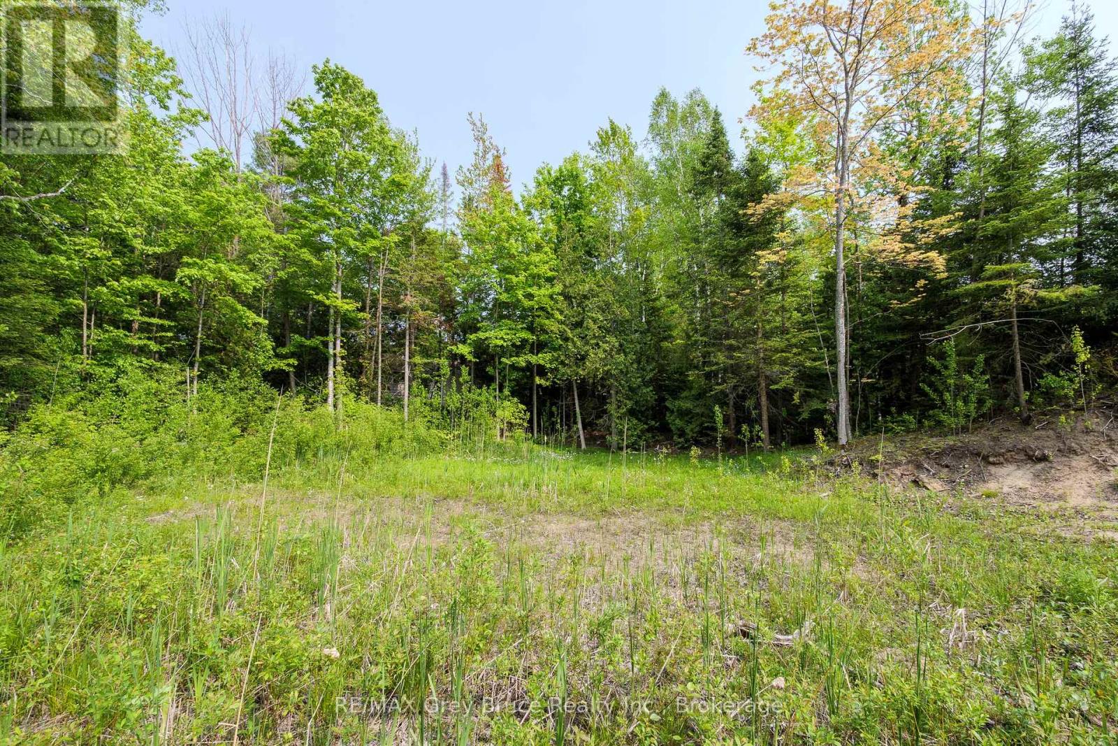 425 Dufferin Avenue, South Bruce Peninsula, Ontario  N0H 2G0 - Photo 17 - X12154811