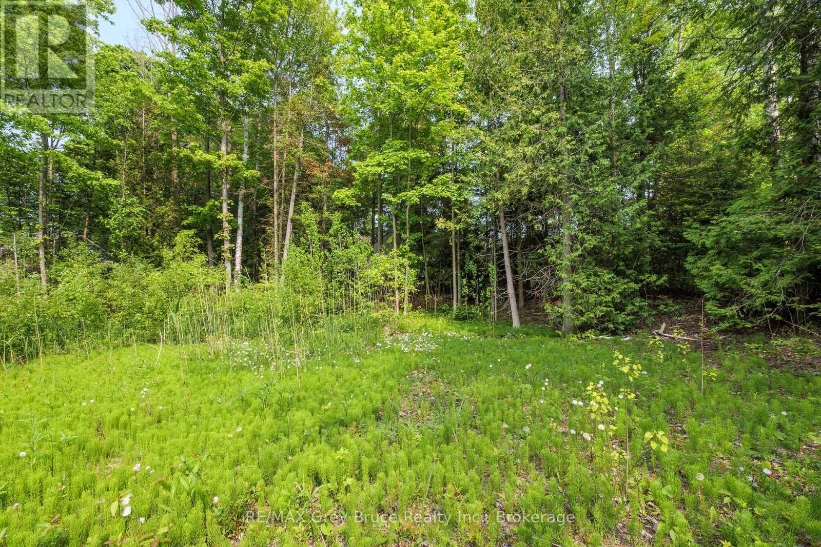425 Dufferin Avenue, South Bruce Peninsula, Ontario  N0H 2G0 - Photo 18 - X12154811