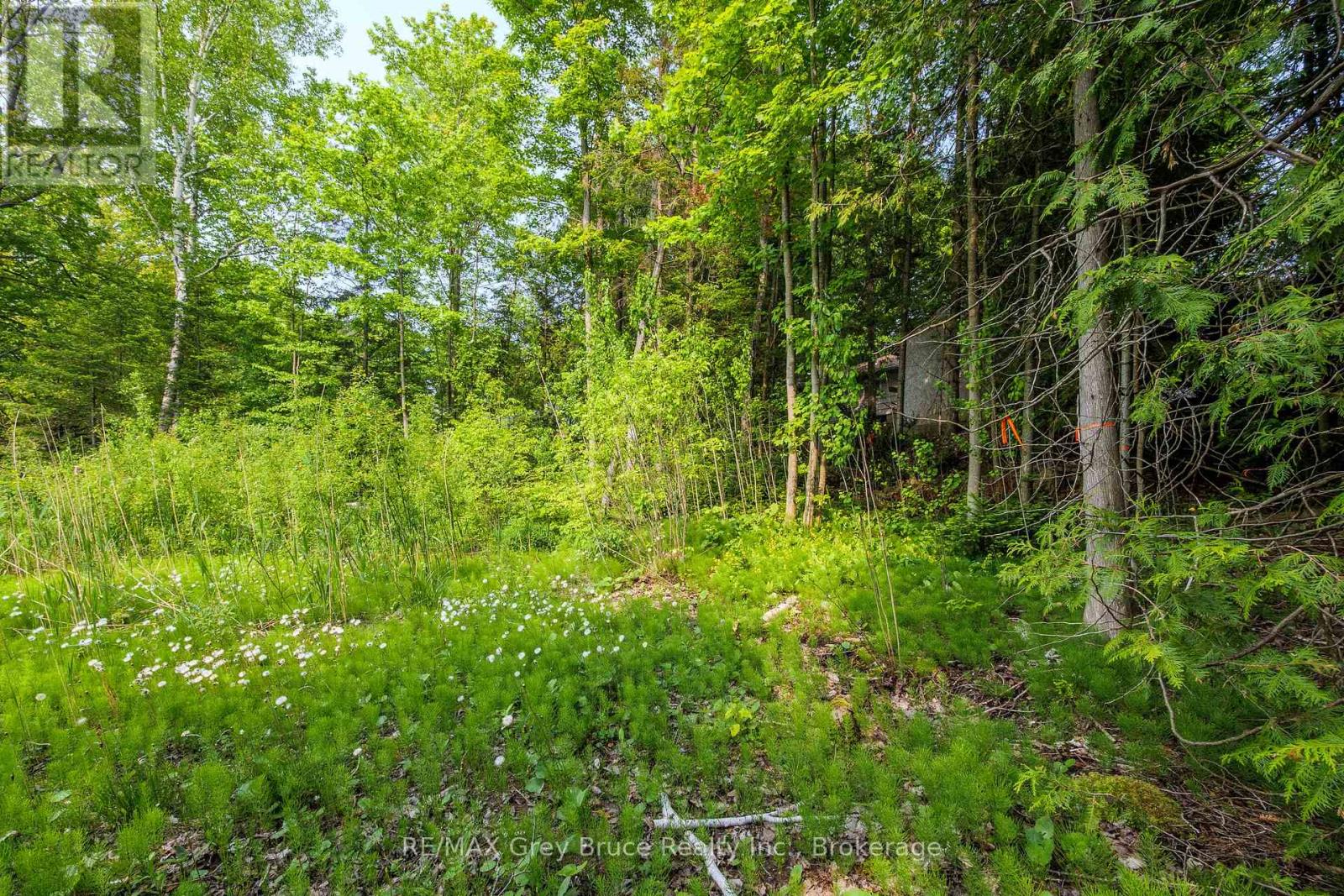 425 Dufferin Avenue, South Bruce Peninsula, Ontario  N0H 2G0 - Photo 20 - X12154811