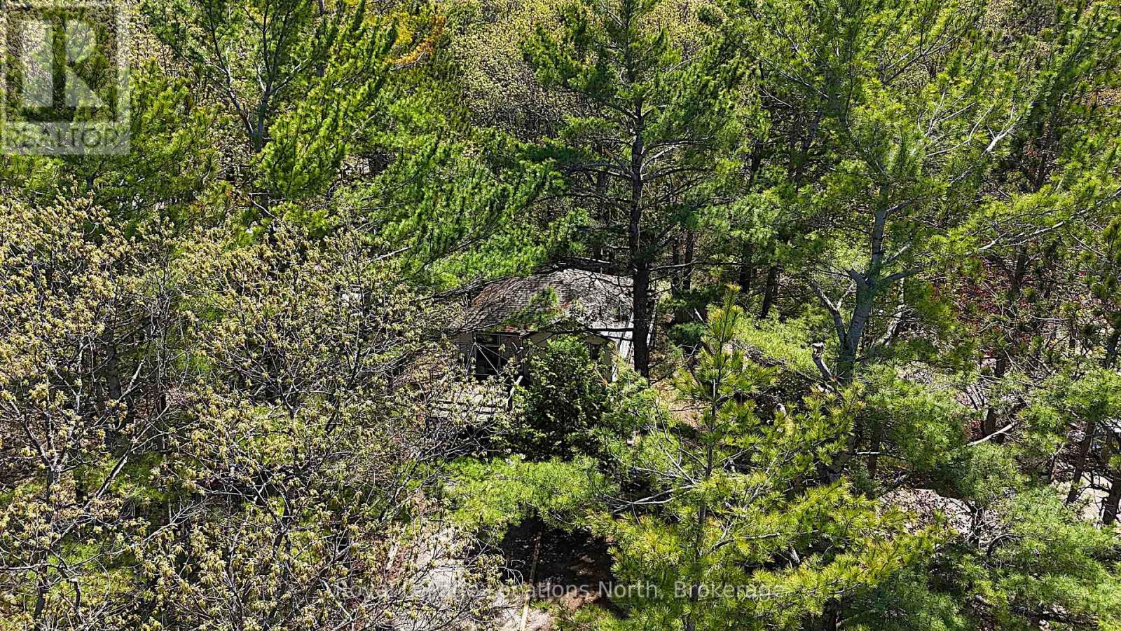 25 Balmoral Avenue, Tiny, Ontario  L0L 1P1 - Photo 6 - S12155019
