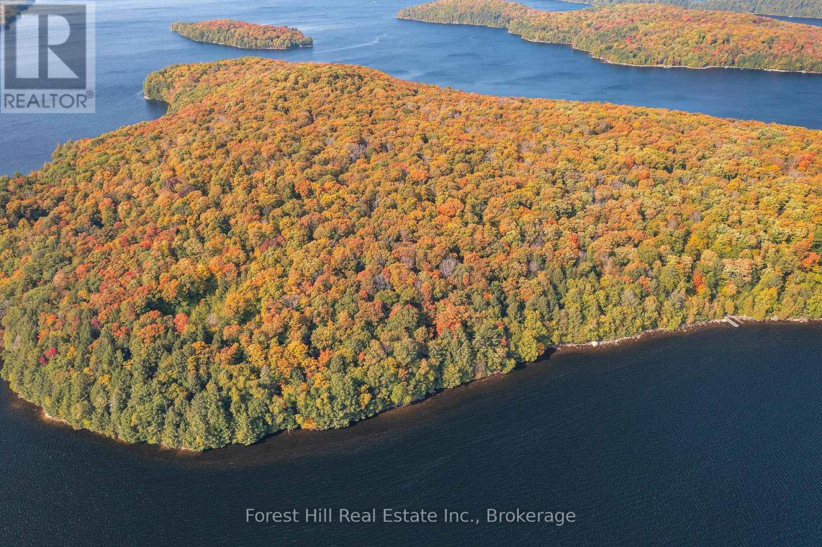 0 Bear Island, Dysart Et Al, Ontario  P0A 1E0 - Photo 18 - X12155512