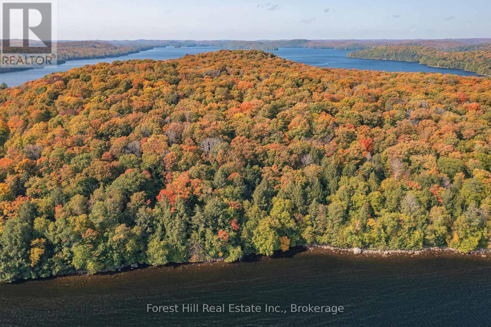 0 Bear Island, Dysart Et Al, Ontario  P0A 1E0 - Photo 25 - X12155512