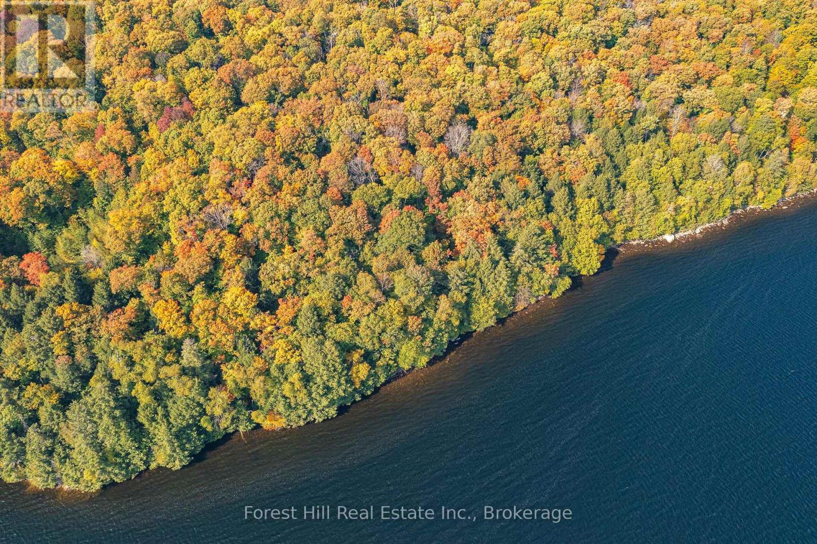 0 Bear Island, Dysart Et Al, Ontario  P0A 1E0 - Photo 31 - X12155512