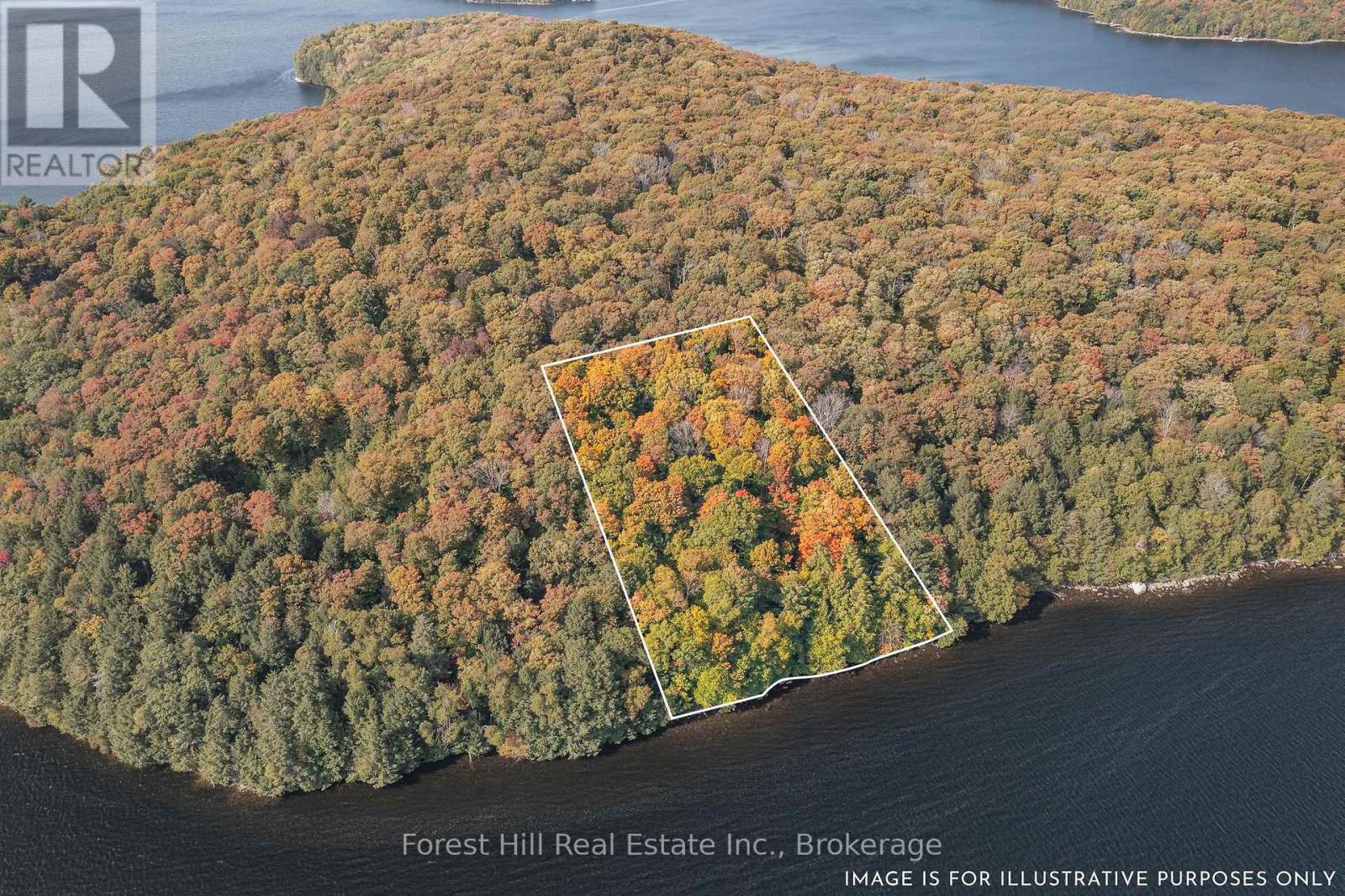 0 Bear Island, Dysart Et Al, Ontario  P0A 1E0 - Photo 4 - X12155512