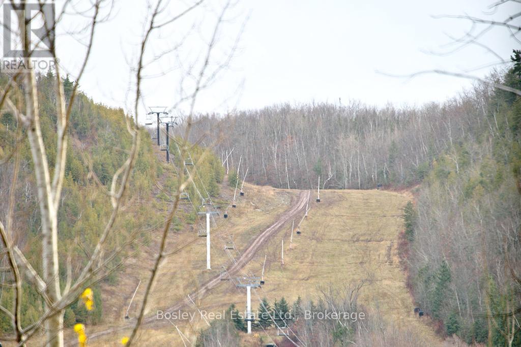 133 Sebastien Street, Blue Mountains, Ontario  N0H 1J0 - Photo 10 - X12155576
