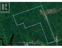 0 RAINEY ROAD, Bracebridge, Ontario