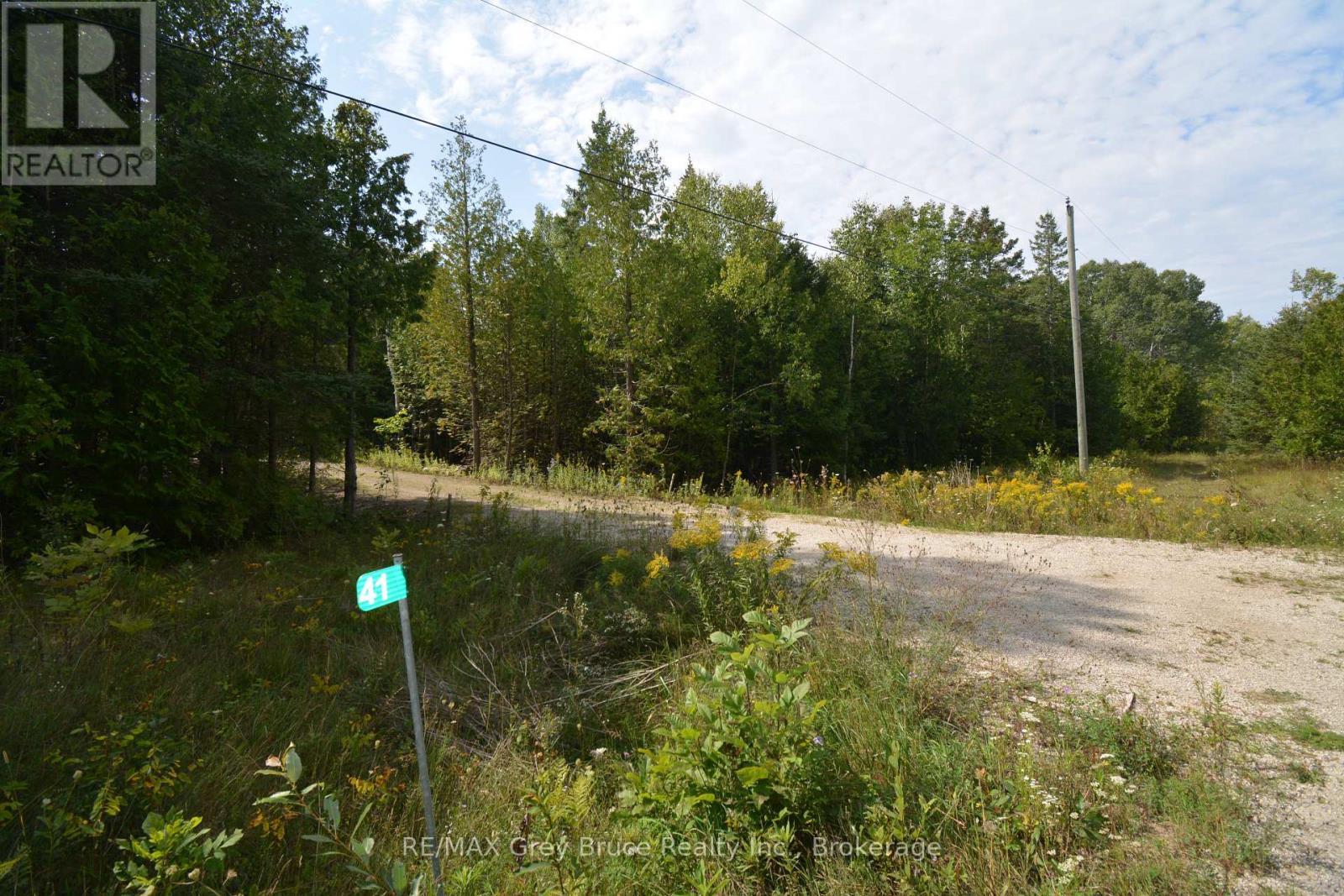 41 Noble Drive, Northern Bruce Peninsula, Ontario  N0H 1Z0 - Photo 26 - X12155812