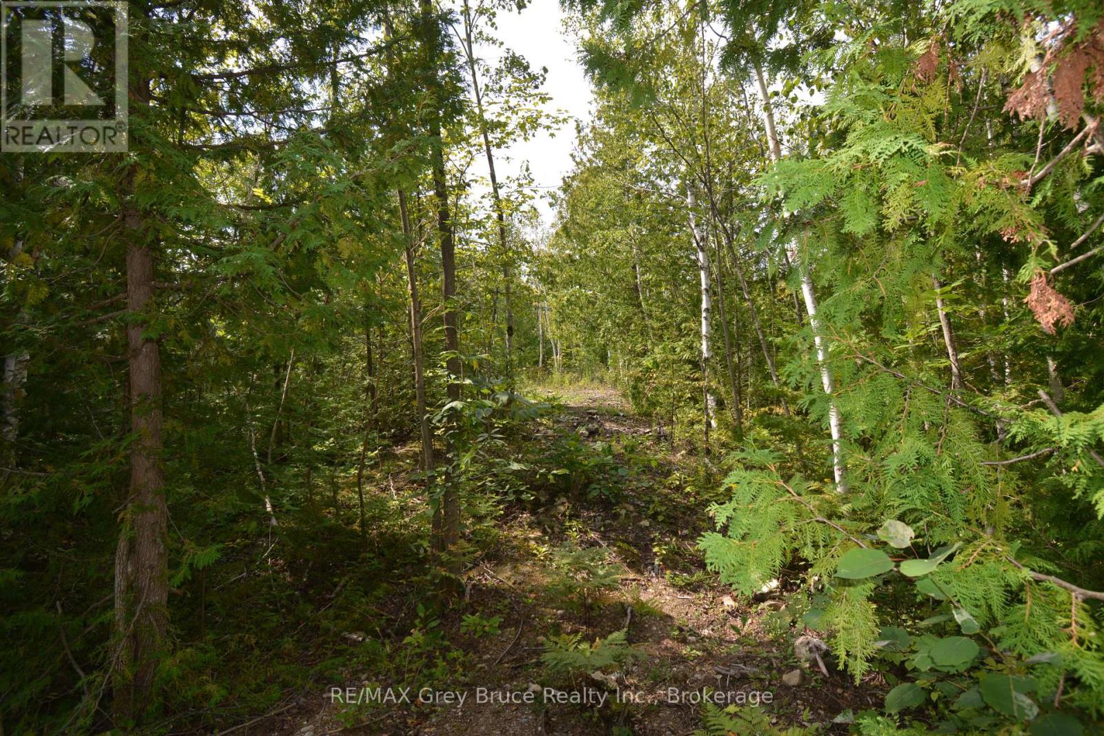 41 Noble Drive, Northern Bruce Peninsula, Ontario  N0H 1Z0 - Photo 28 - X12155812