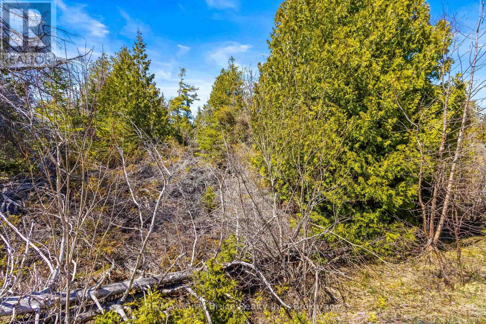 Pt Farm Lt 4 Chi Sin Tib Dek Road, Northern Bruce Peninsula, Ontario  N0H 2R0 - Photo 6 - X12155855
