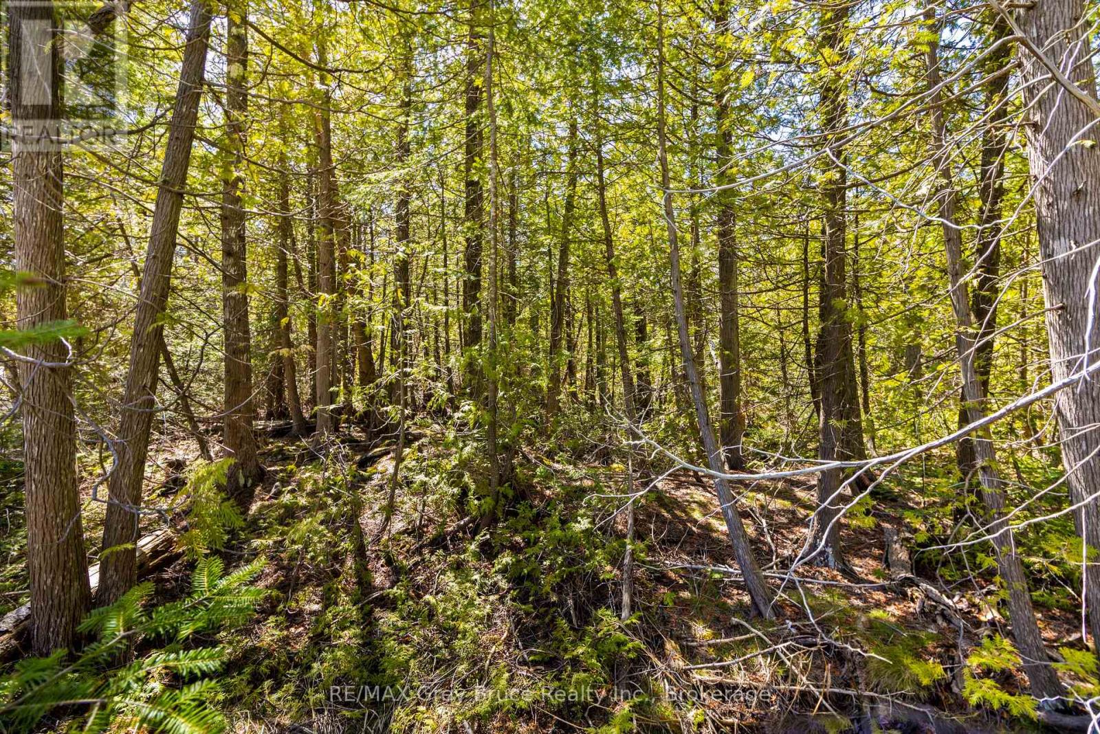 Pt Farm Lot 4 Chi Sin Tib Dek Road, Northern Bruce Peninsula, Ontario  N0H 2R0 - Photo 7 - X12155865