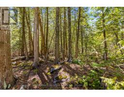 PT FARM LOT 4 CHI SIN TIB DEK ROAD, Northern Bruce Peninsula, Ontario