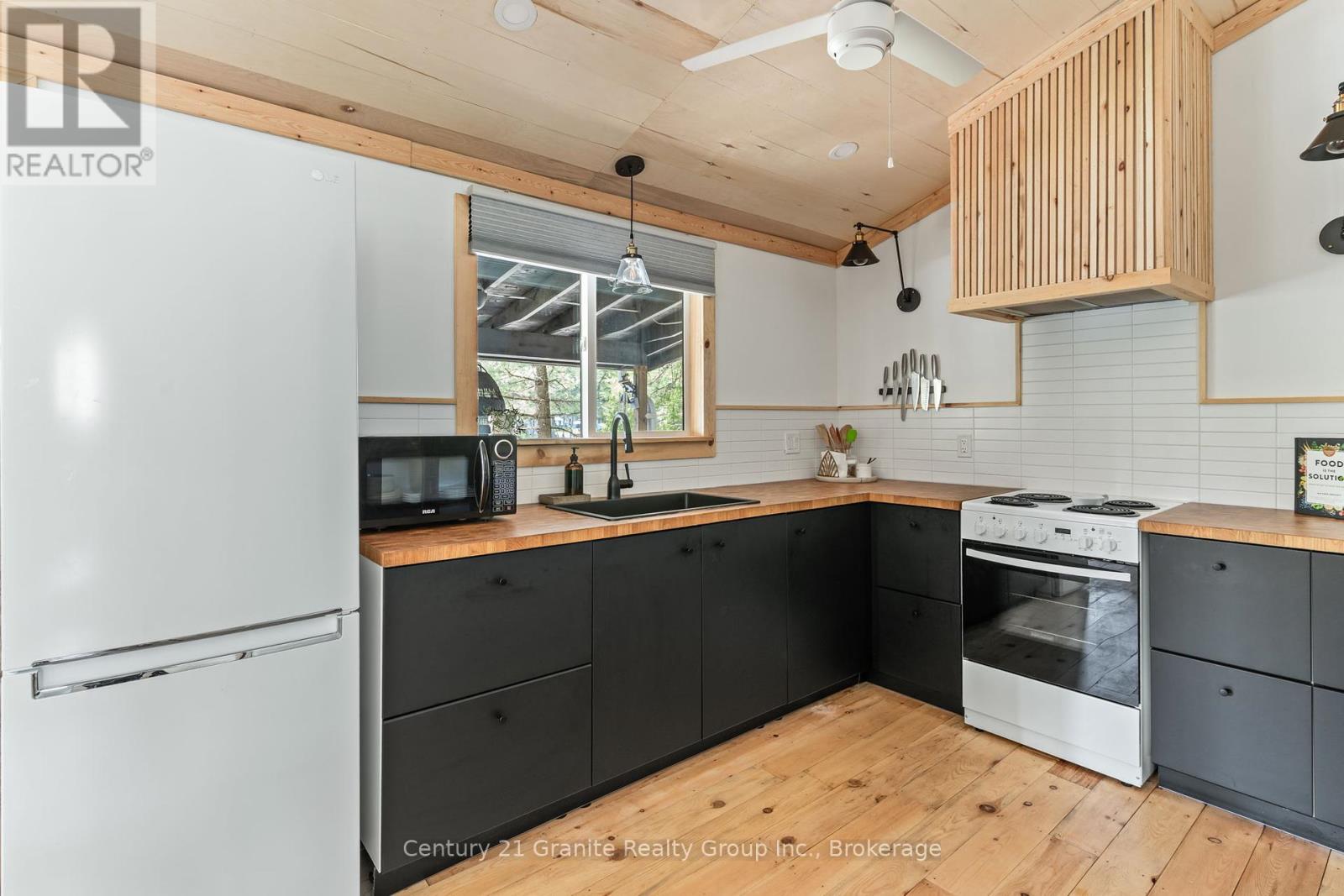 1954 South Beaver Lake Lane, Minden Hills, Ontario  K0M 2K0 - Photo 15 - X12156142