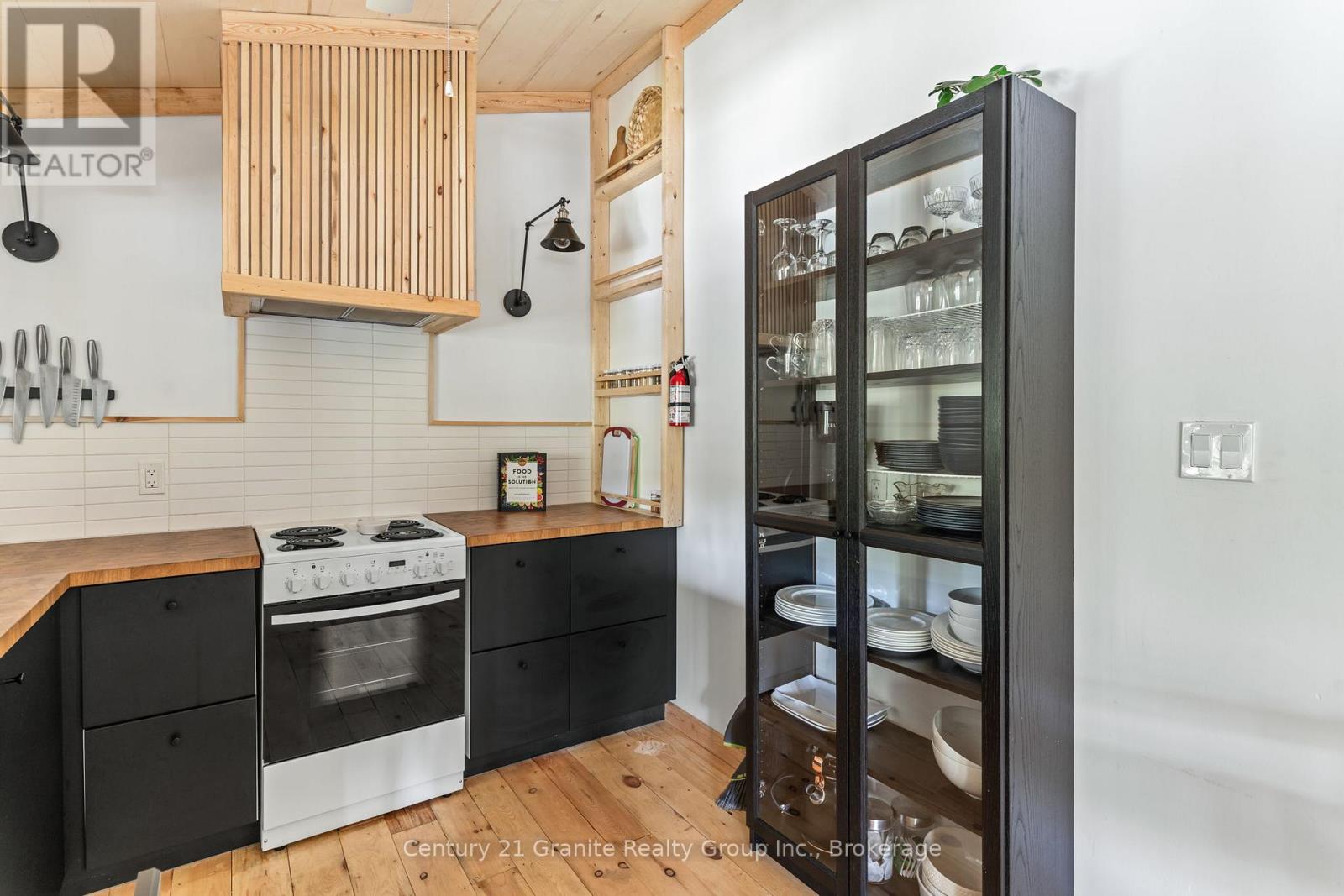 1954 South Beaver Lake Lane, Minden Hills, Ontario  K0M 2K0 - Photo 16 - X12156142