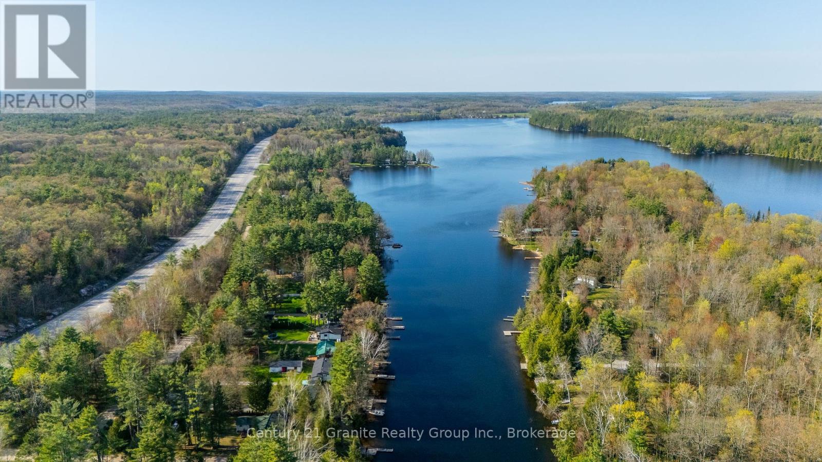 1954 South Beaver Lake Lane, Minden Hills, Ontario  K0M 2K0 - Photo 4 - X12156142
