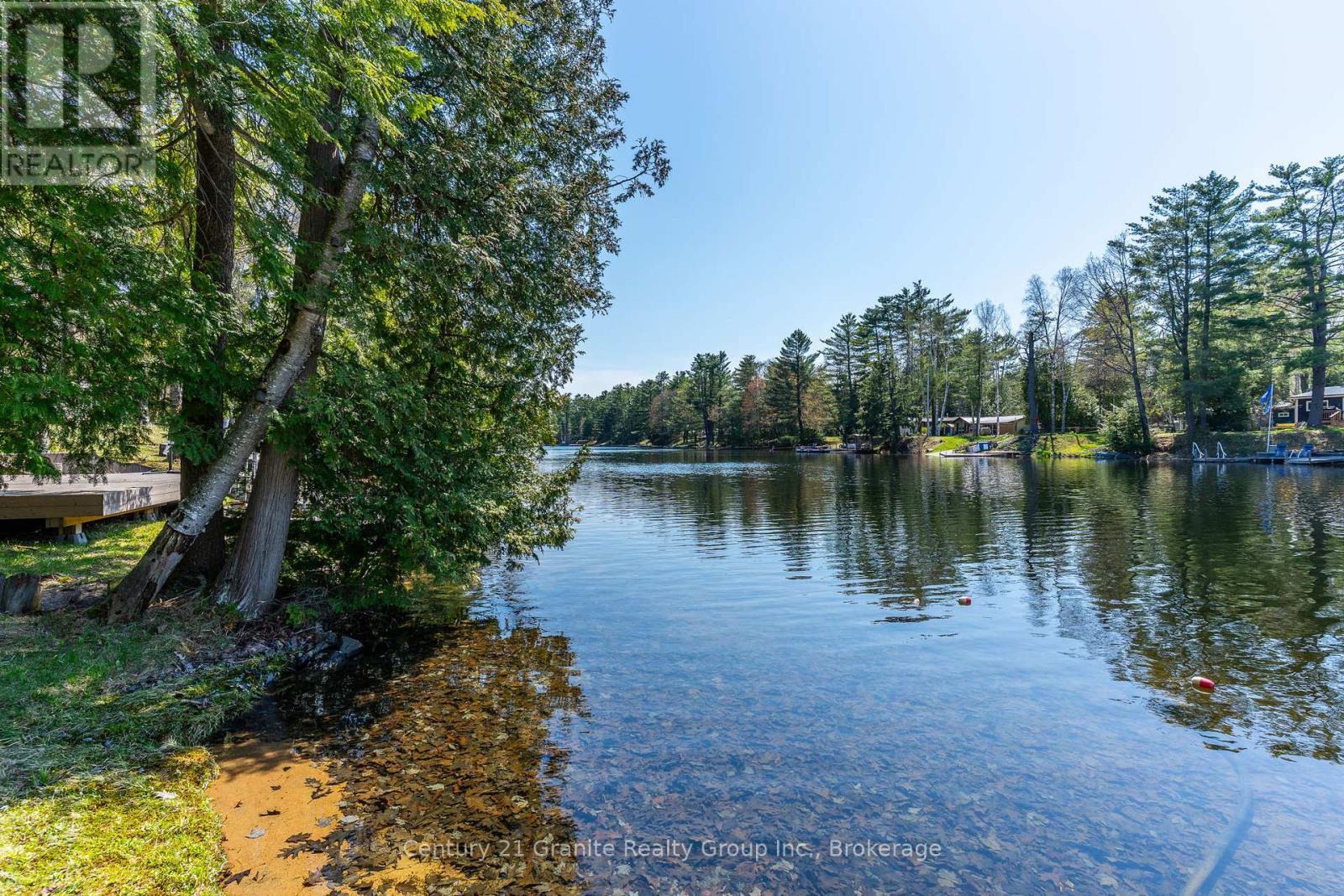1954 South Beaver Lake Lane, Minden Hills, Ontario  K0M 2K0 - Photo 43 - X12156142