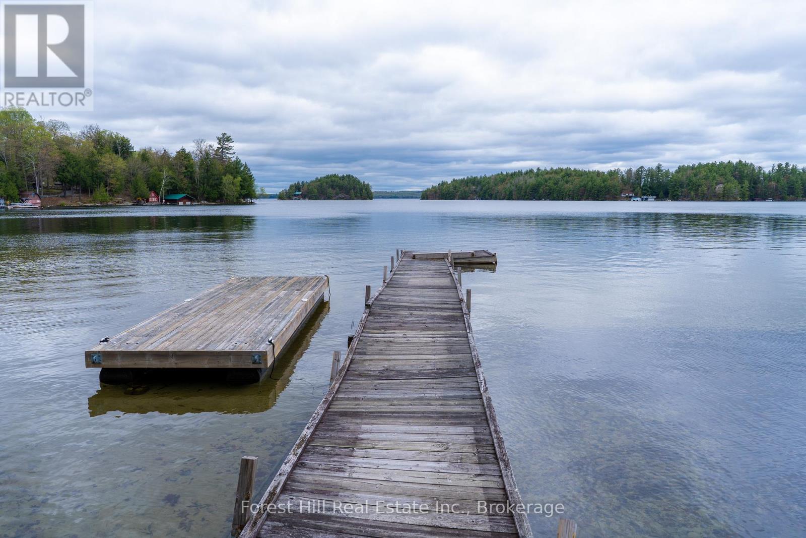 1255 Skeleton Lake 2 Road, Muskoka Lakes, Ontario  P0G 1G0 - Photo 3 - X12156286