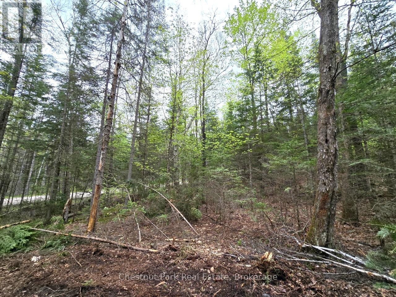Part 6 Echo Ridge Road, Kearney, Ontario  P0A 1M0 - Photo 12 - X12156745