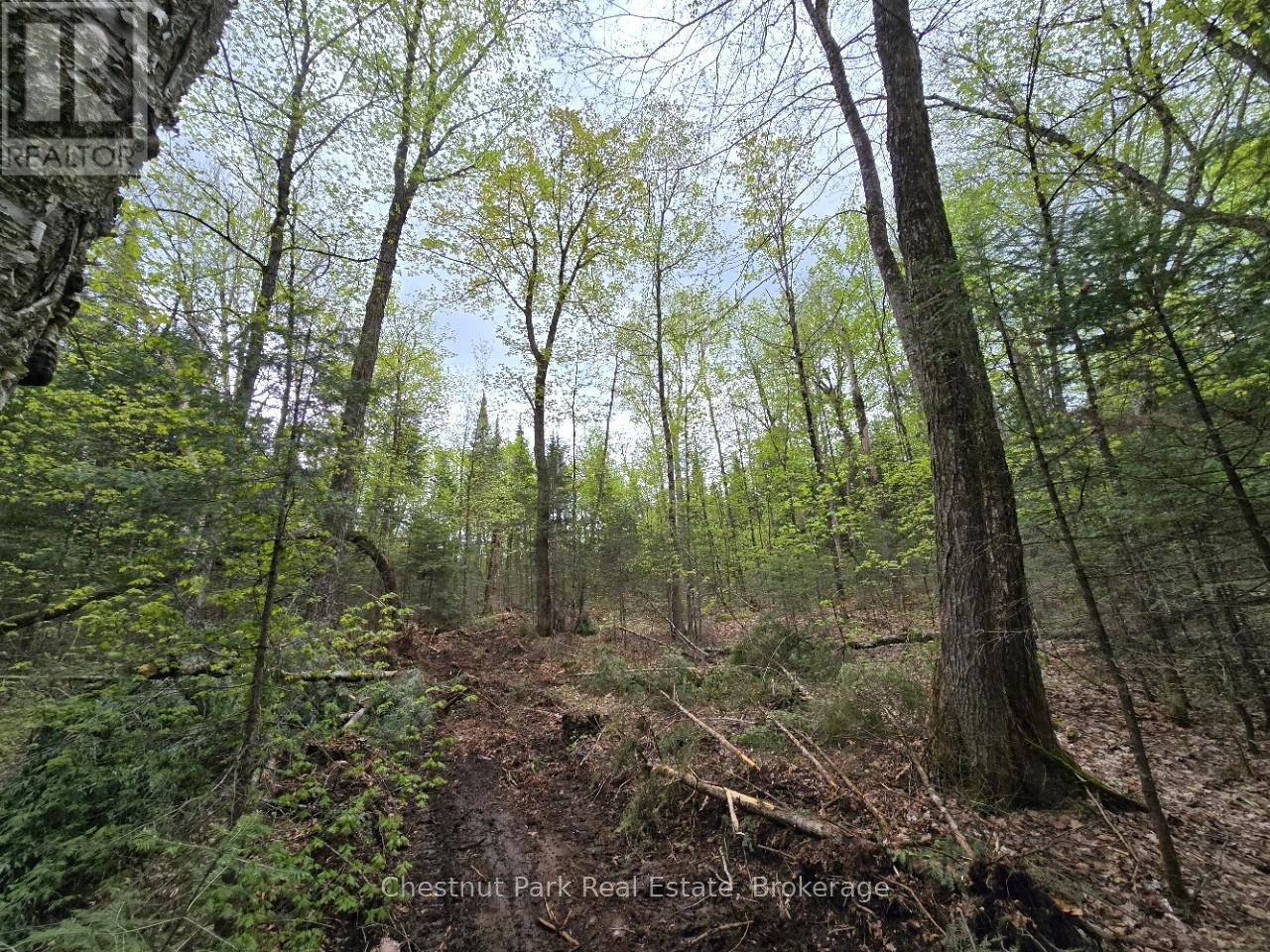 Part 6 Echo Ridge Road, Kearney, Ontario  P0A 1M0 - Photo 13 - X12156745