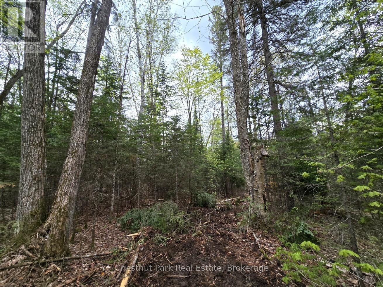 Part 6 Echo Ridge Road, Kearney, Ontario  P0A 1M0 - Photo 14 - X12156745