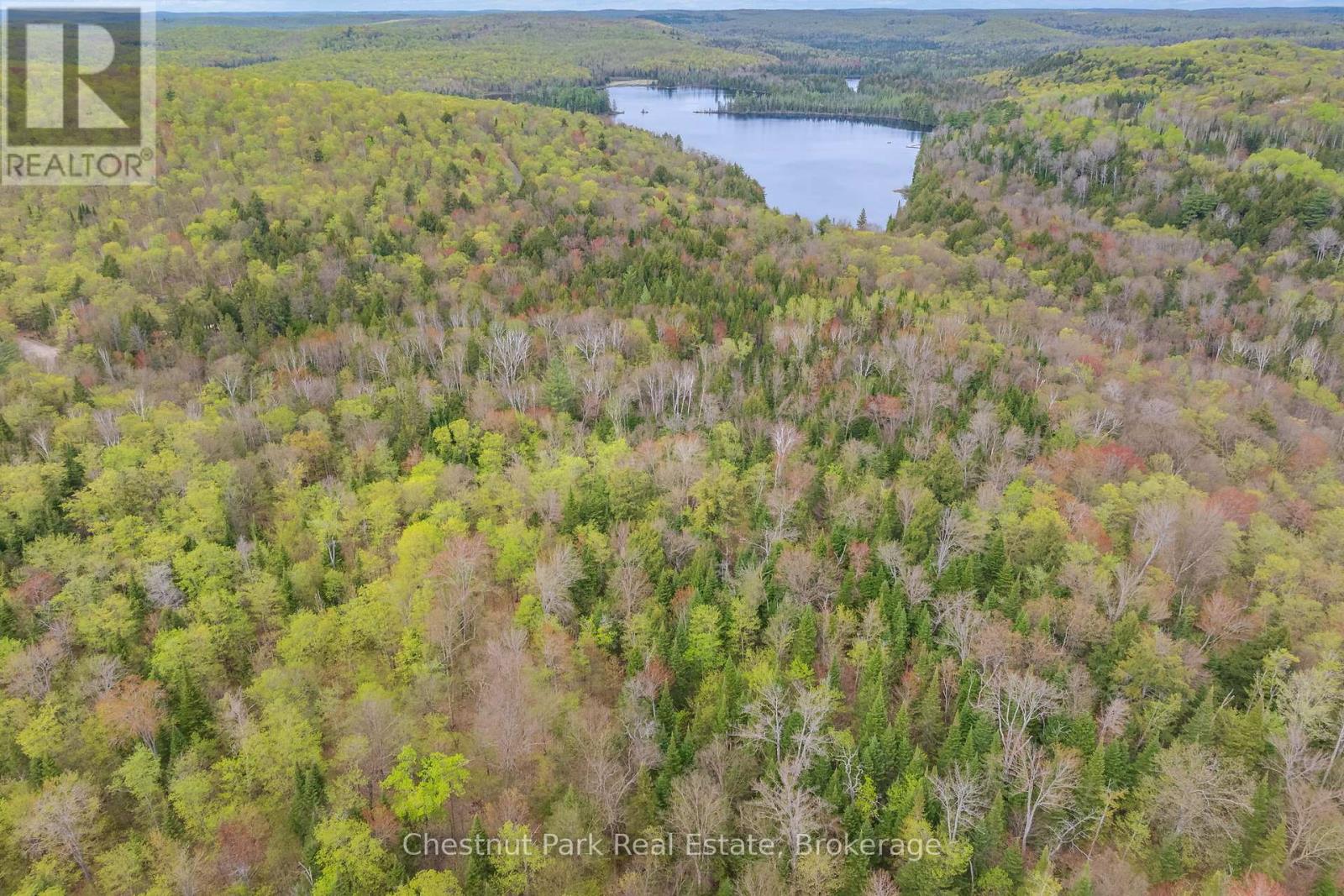 Part 6 Echo Ridge Road, Kearney, Ontario  P0A 1M0 - Photo 19 - X12156745