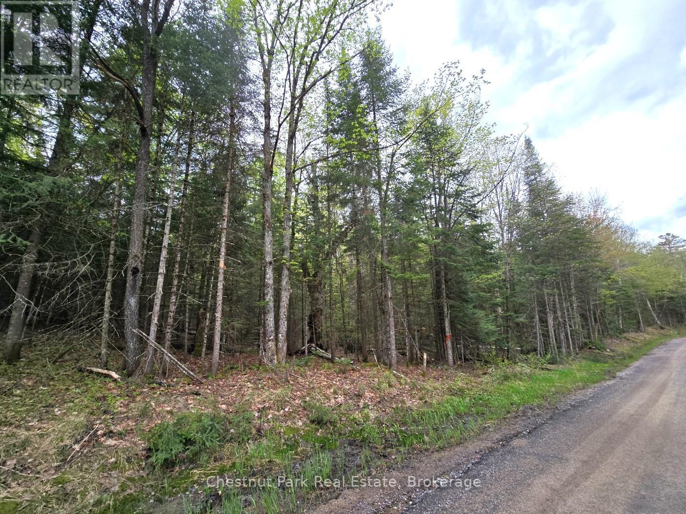 Part 6 Echo Ridge Road, Kearney, Ontario  P0A 1M0 - Photo 2 - X12156745