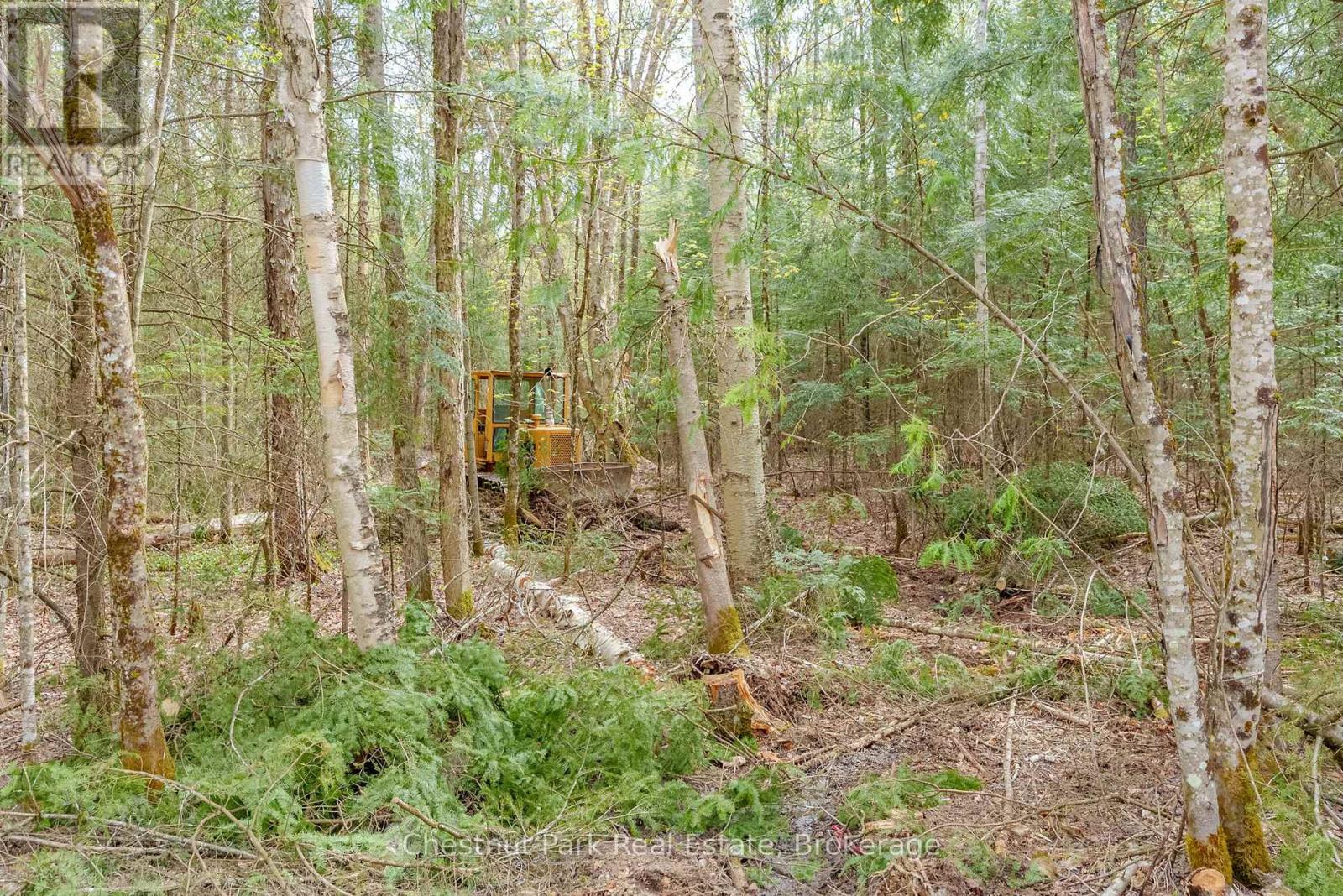 Part 6 Echo Ridge Road, Kearney, Ontario  P0A 1M0 - Photo 20 - X12156745