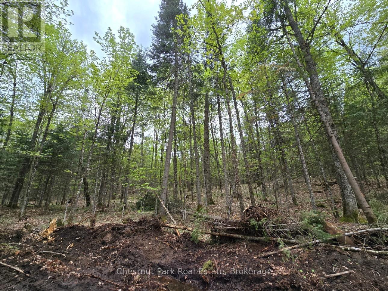 Part 6 Echo Ridge Road, Kearney, Ontario  P0A 1M0 - Photo 8 - X12156745