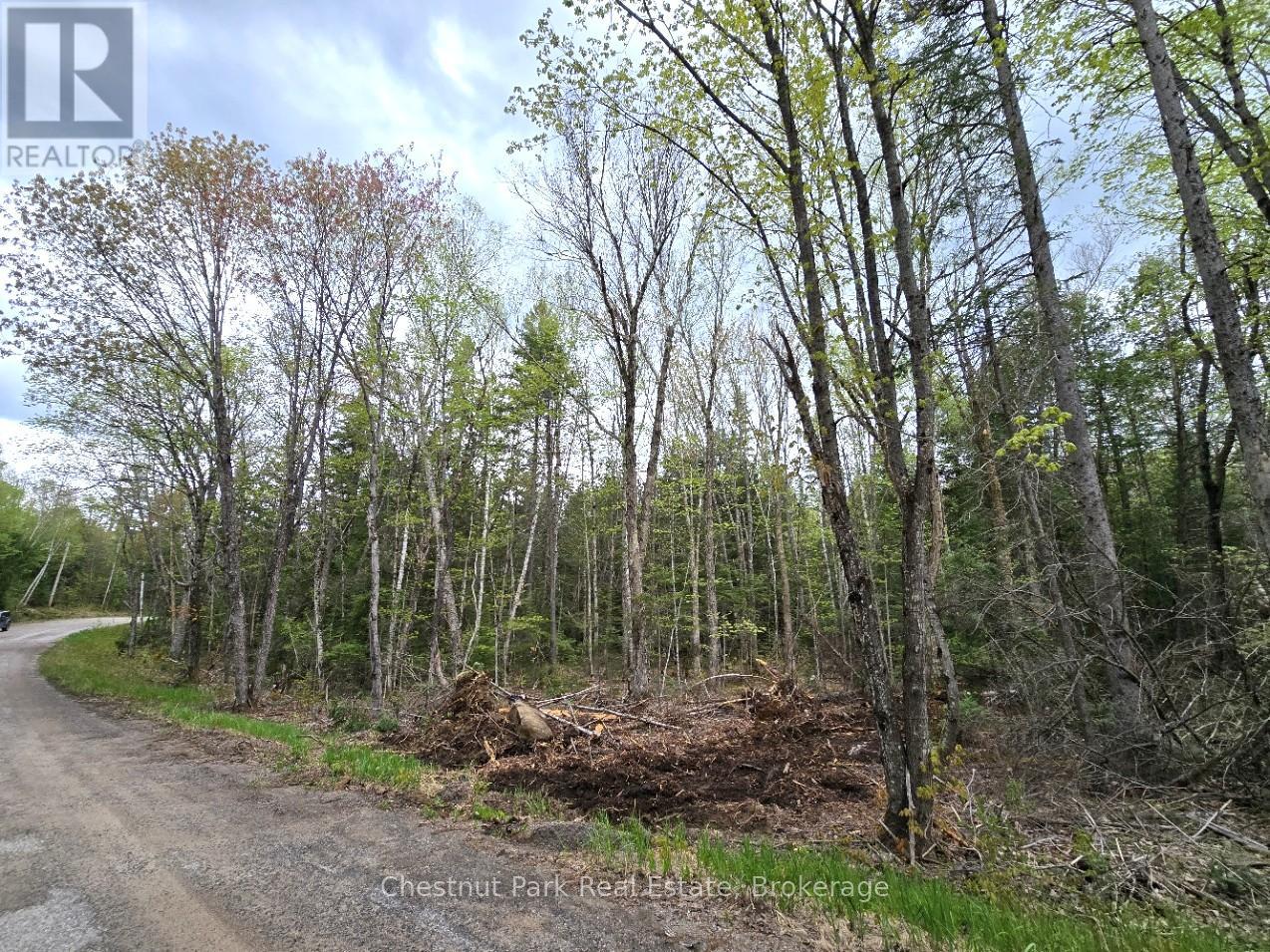 PART 1 ECHO RIDGE ROAD, Kearney, Ontario