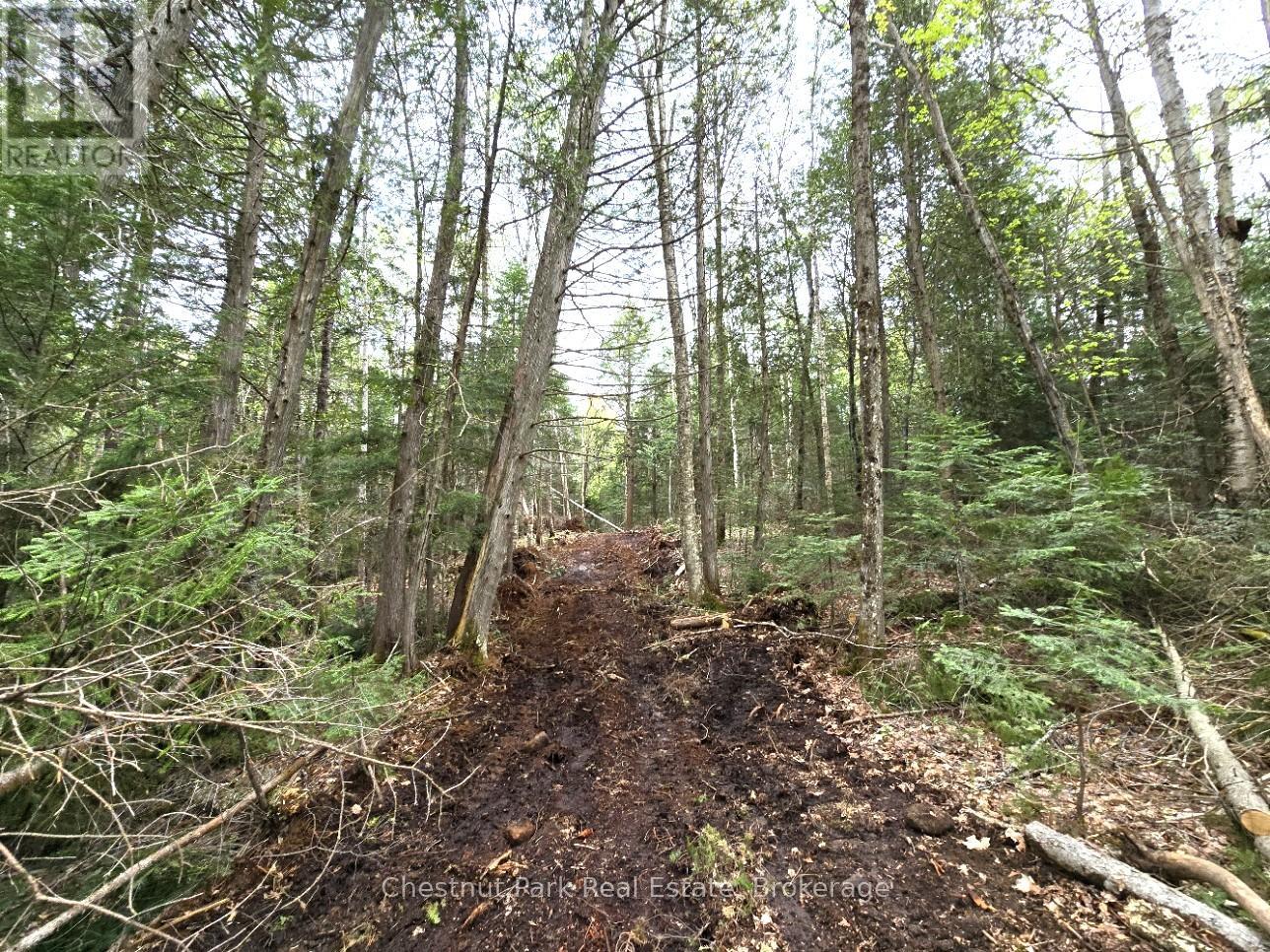 Part 1 Echo Ridge Road, Kearney, Ontario  P0A 1M0 - Photo 12 - X12156746