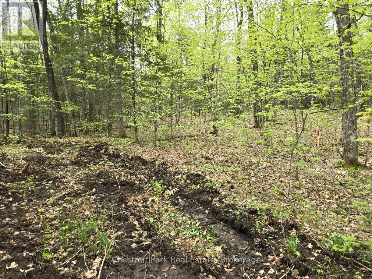 Part 7 Echo Ridge Road, Kearney, Ontario  P0A 1M0 - Photo 12 - X12156747