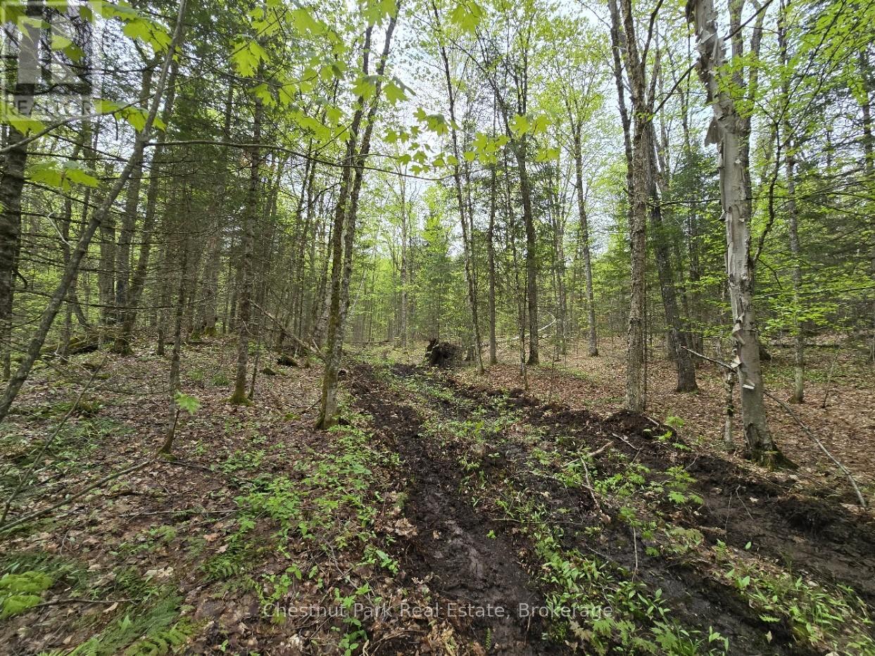 Part 7 Echo Ridge Road, Kearney, Ontario  P0A 1M0 - Photo 15 - X12156747