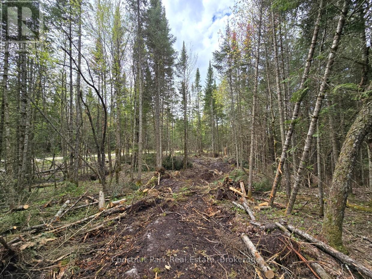 Part 2 Echo Ridge Road, Kearney, Ontario  P0A 1M0 - Photo 12 - X12156749