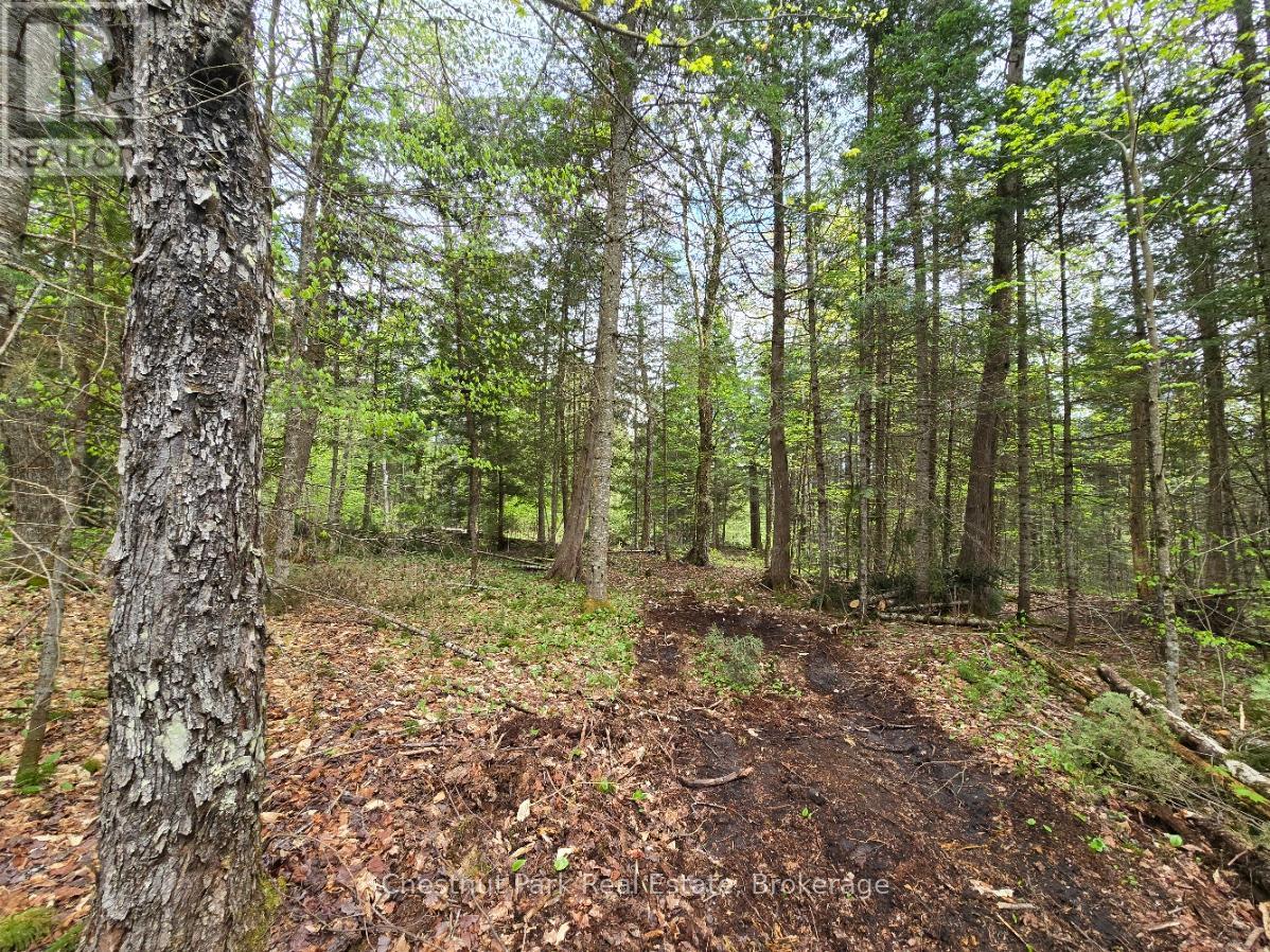 Part 2 Echo Ridge Road, Kearney, Ontario  P0A 1M0 - Photo 18 - X12156749