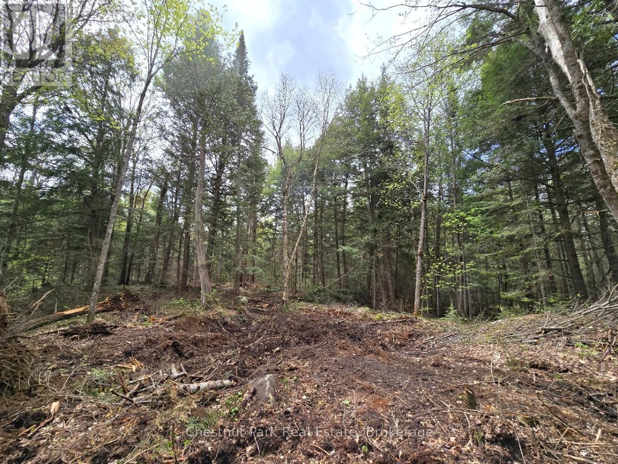 Part 2 Echo Ridge Road, Kearney, Ontario  P0A 1M0 - Photo 21 - X12156749