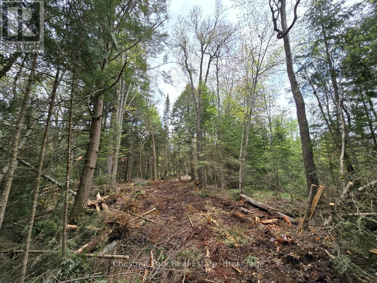 Part 2 Echo Ridge Road, Kearney, Ontario  P0A 1M0 - Photo 22 - X12156749