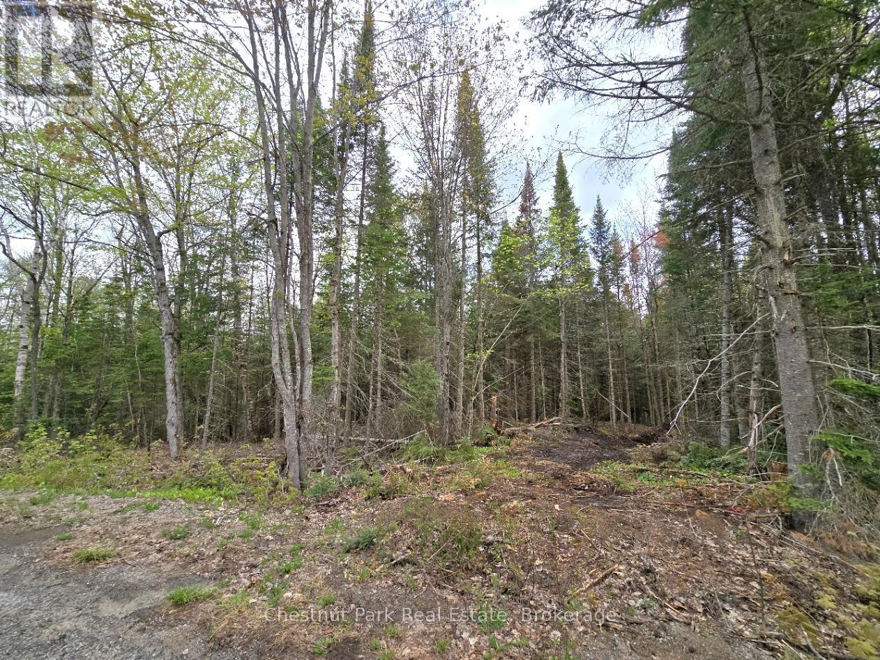 Part 2 Echo Ridge Road, Kearney, Ontario  P0A 1M0 - Photo 23 - X12156749