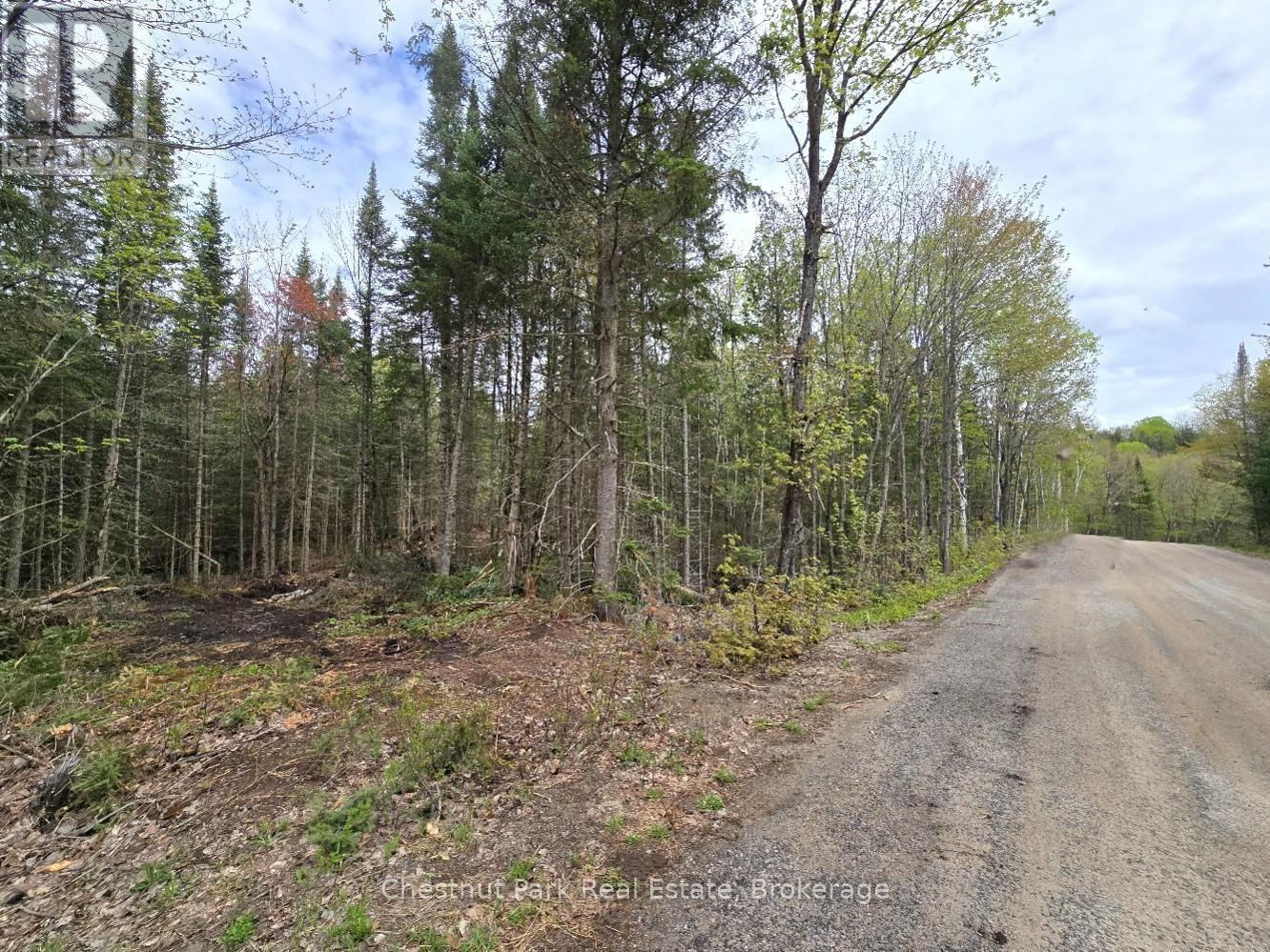 Part 2 Echo Ridge Road, Kearney, Ontario  P0A 1M0 - Photo 32 - X12156749
