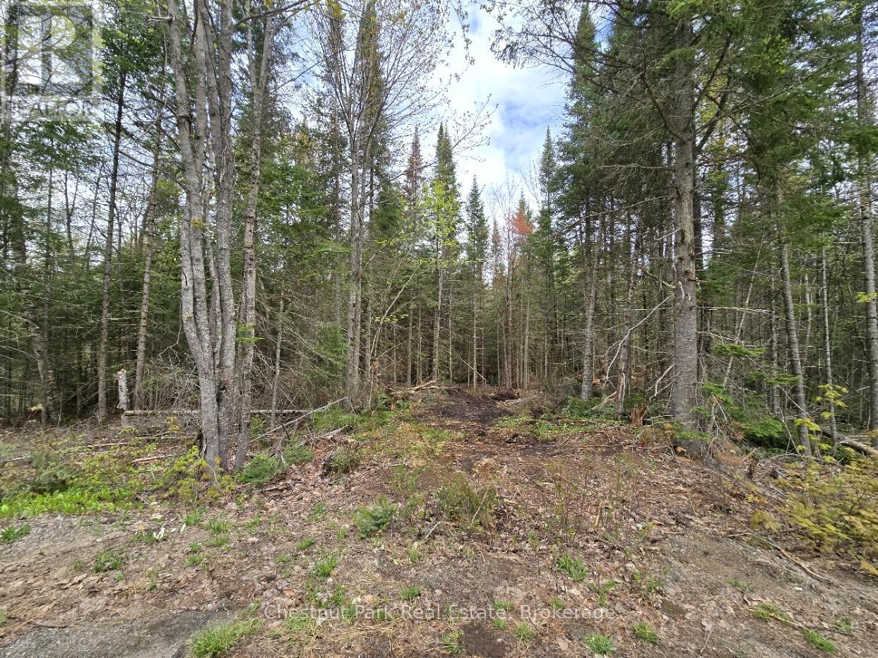 Part 2 Echo Ridge Road, Kearney, Ontario  P0A 1M0 - Photo 4 - X12156749