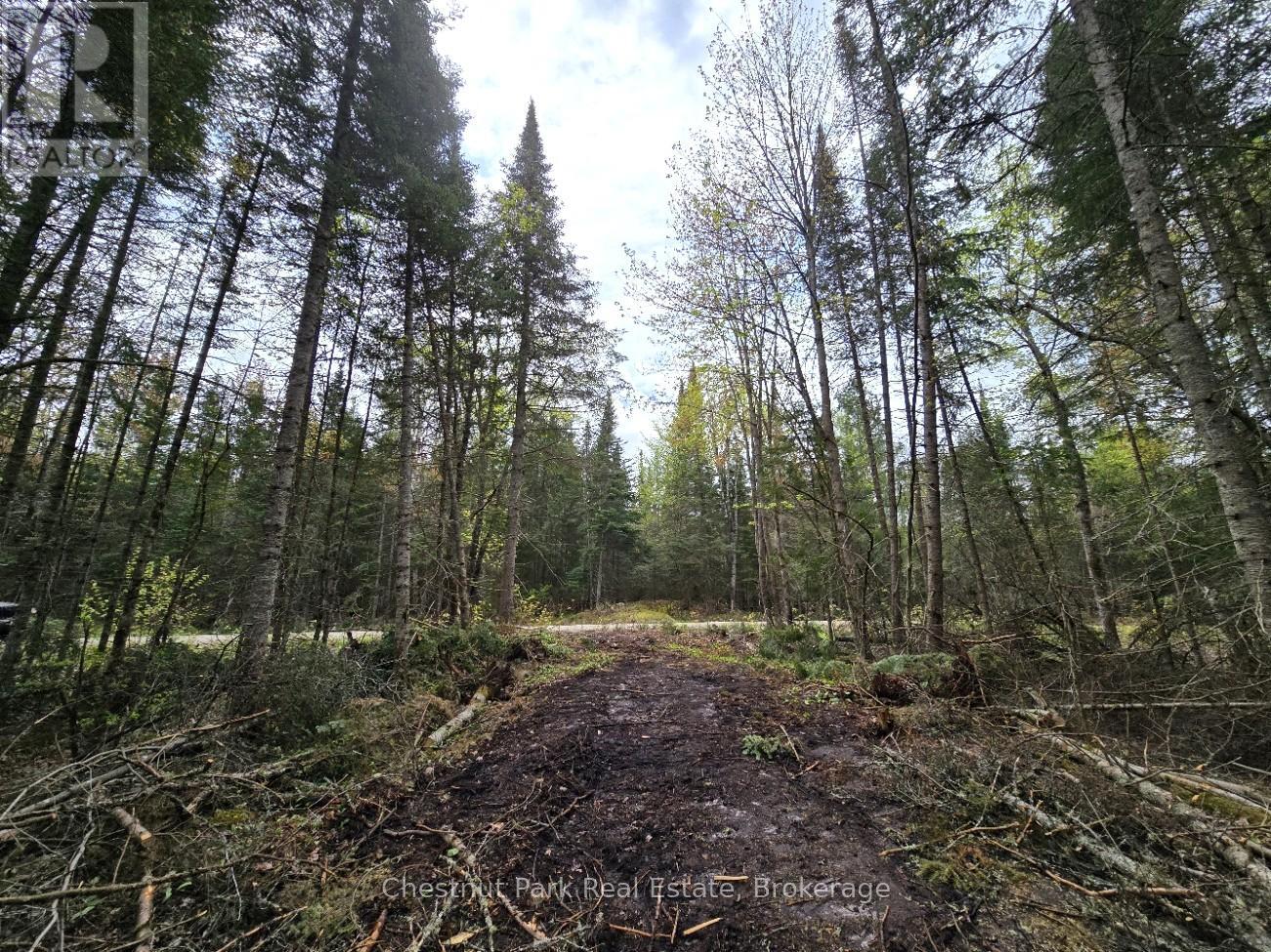Part 2 Echo Ridge Road, Kearney, Ontario  P0A 1M0 - Photo 8 - X12156749