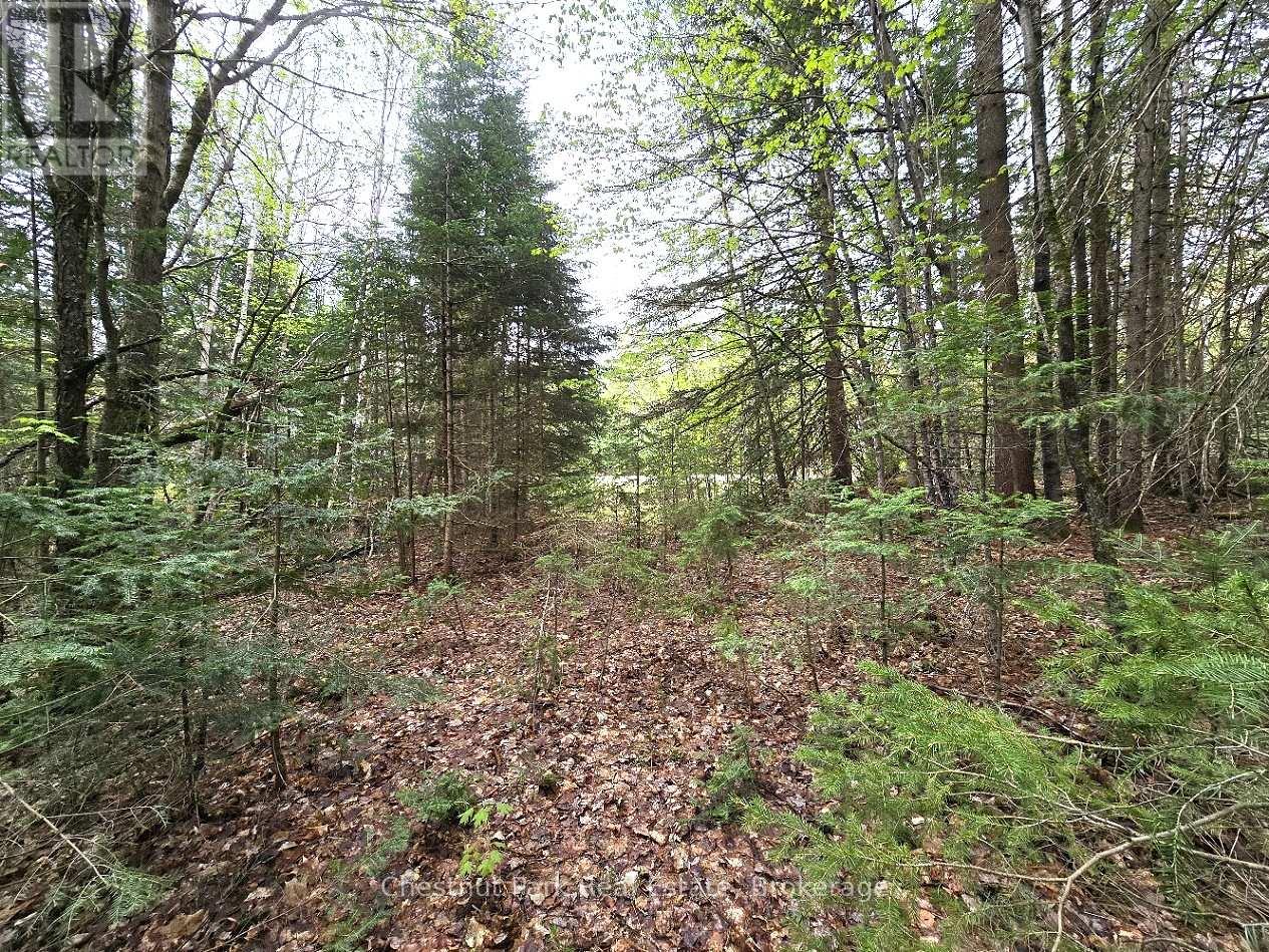 Part 4 Echo Ridge Road, Kearney, Ontario  P0A 1M0 - Photo 34 - X12156751