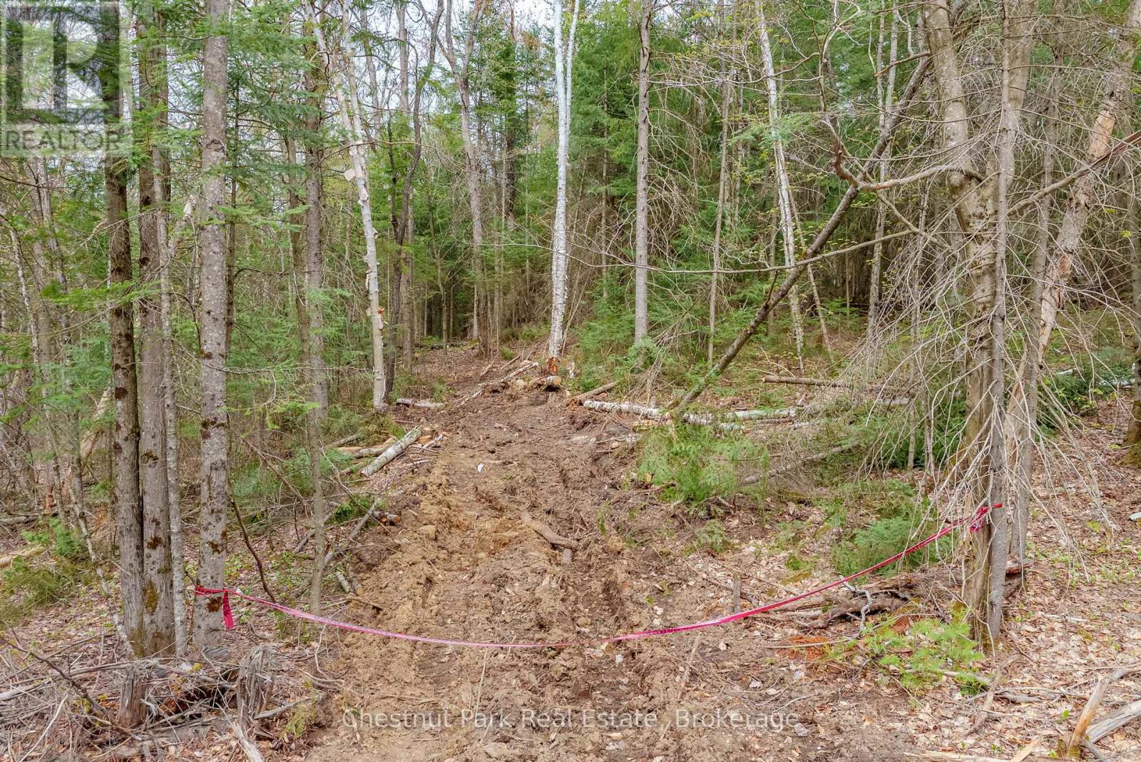 Part 4 Echo Ridge Road, Kearney, Ontario  P0A 1M0 - Photo 36 - X12156751