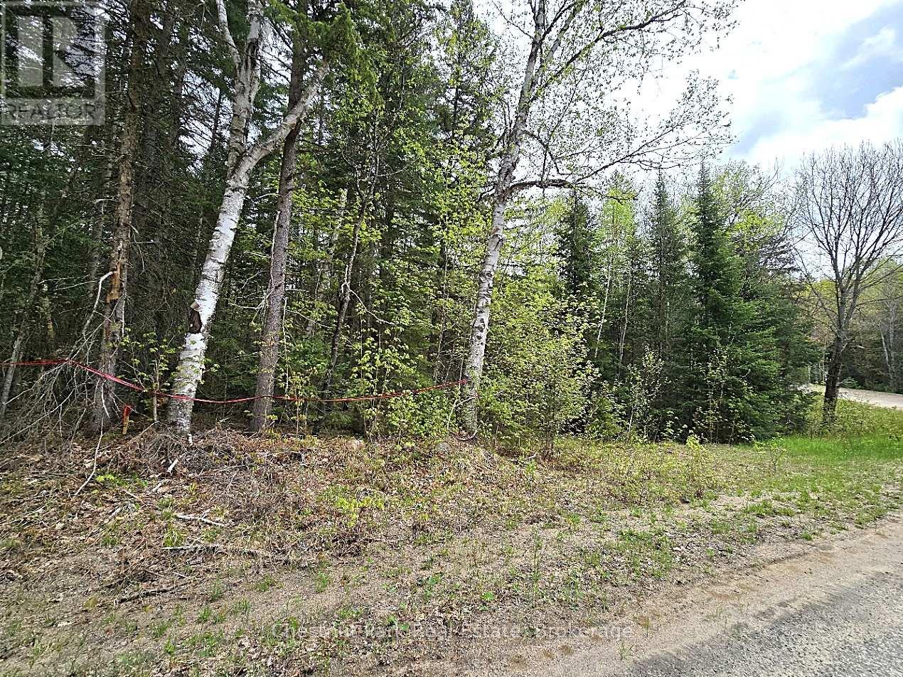 Part 4 Echo Ridge Road, Kearney, Ontario  P0A 1M0 - Photo 37 - X12156751