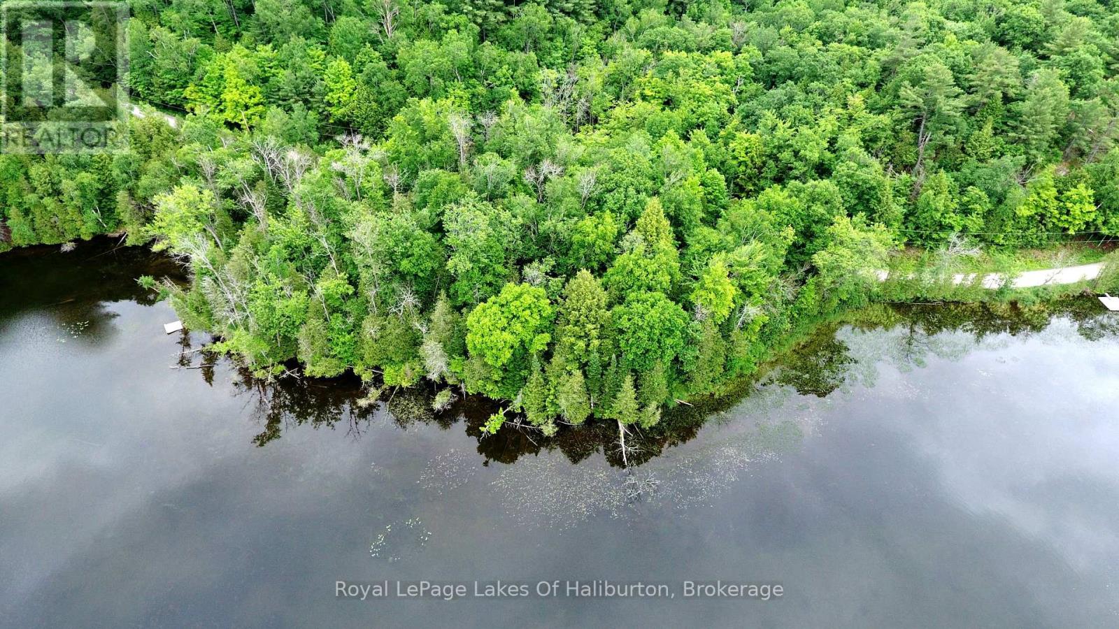 0 South Beaver Lake Lane, Minden Hills, Ontario  K0M 2L1 - Photo 1 - X12158946