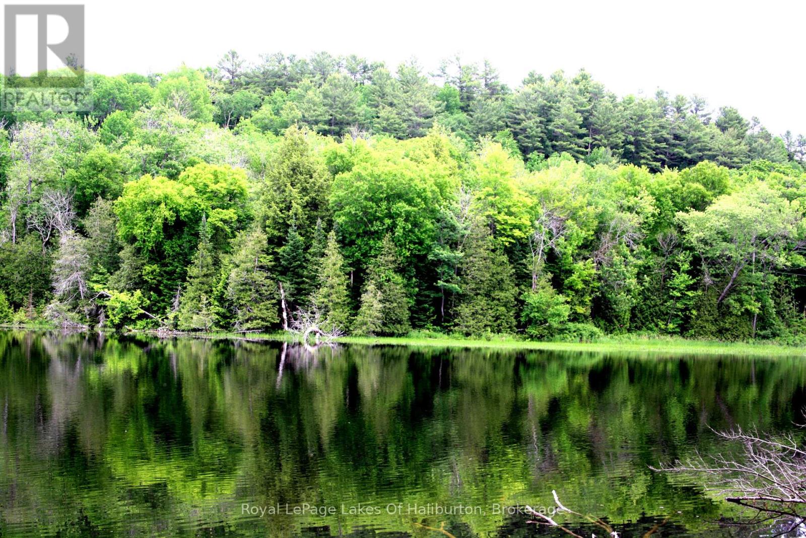 0 South Beaver Lake Lane, Minden Hills, Ontario  K0M 2L1 - Photo 8 - X12158946